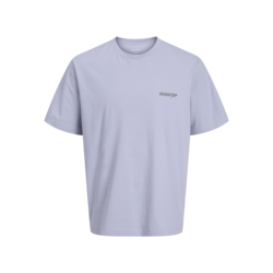 JACK & JONES JUNIOR Majica za dečake 12274897, Siva
