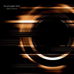 The Pineapple Thief Tightly Unwound (2 LP) Prenovljeno