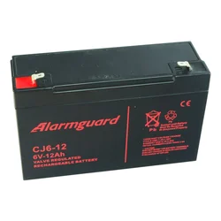 Alarmguard Backup Battery 6V, 12Ah, 180A