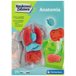 shumee ZNANOST ZABAVNA ANATOMIJA 2523