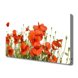 tulup.si Slika na platnu Rastlinskih mak naravi 140x70 cm
