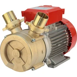 Rover BE-M 50 Bronza Električna pumpa