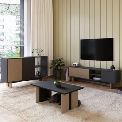 Hanah Home set nameštaja za dnevnu sobu Ravello, topli hrast / antracit