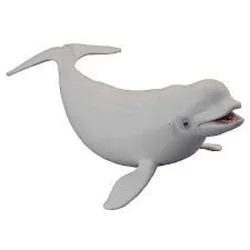 shumee Beluga kit