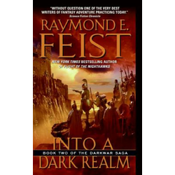 Into a Dark Realm