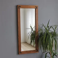 Hanah Home Ogledalo 50110CV, 110x50cm, Braon