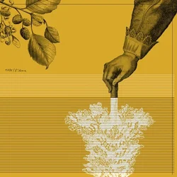 Tape - Rideau (Limited Edition) (LP)