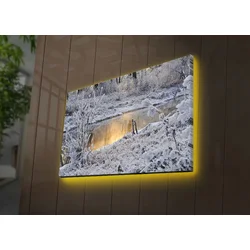 Zidna slika sa LED osvetljenjem 4570DACT-76, 45x70 cm