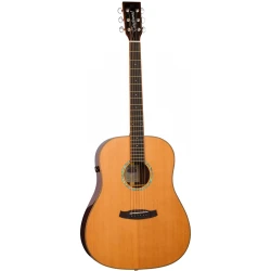 Tanglewood TRS5SE Rosewood Smart elektro-akustična gitara