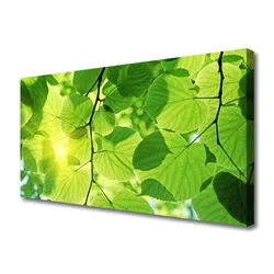 tulup.si Slika na platnu Listi narava rastlin 100x50 cm
