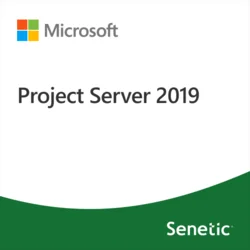 Microsoft Project Server 2019 (DG7GMGF0F4MH-0003)