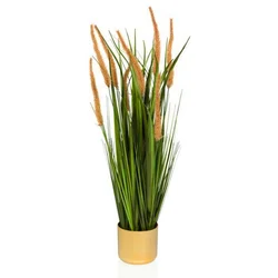 MID.YOU Umetna Rastlina Cortaderia I
