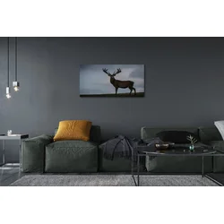 tulup.si Slika na platnu Jelen noč 100x50 cm