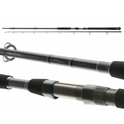 Palica Daiwa -Exceler- Catfish 300-330cm/200-600g