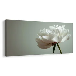 Slika cvetlična eleganca na beli - 80x40