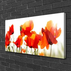 tulup.si Slika na platnu Rastlinskih mak naravi 100x50 cm