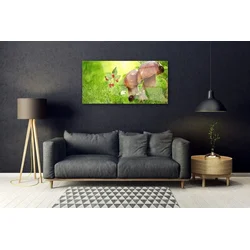 tulup.si Steklena slika Gobe sadje jagode 100x50 cm 2 obešalnika