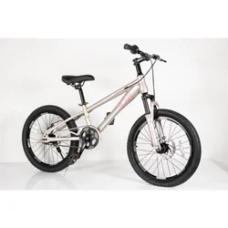Dečiji bicikl 20” TN24Q22- Champagne/Pink