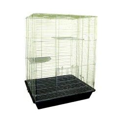 Karlos Kavez za glodare Degu, Crni
