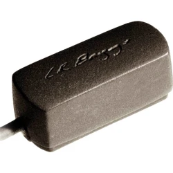 L.R. Baggs Radius Kitarski pick up