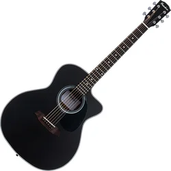 Pasadena PGC-100 Black Akustična kitara Jumbo (Kot novo)