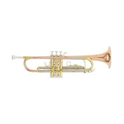 Trobenta Roy Benson Bb TR-202G RB701.075