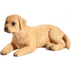 Moj labradorec