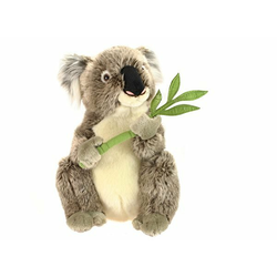 Plišasta Koala