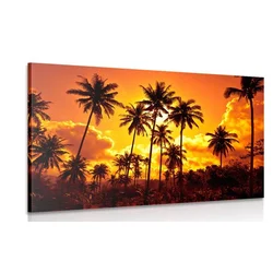 Slika kokosove palme na plaži - 40x30