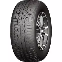 APlus A501 ( 165/65 R14 79T )