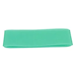 Briggs & Stratton 272477S Predfilter 272477