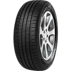 Minerva 209 ( 165/65 R13 77T )