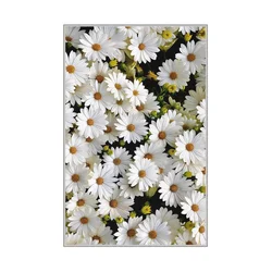 CONCEPTUM HYPNOSE Tepih (80 x 120) HMNT521