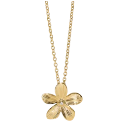 NAKIT 2JEWELS OGRLICA 251998