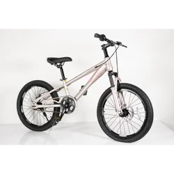 Bicikl za decu 20/1 -tn24q22- champagne/pink ( BCK0408 )