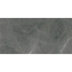 Elegant Antracite 30x60