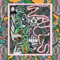 Seafoam Walls - XVI (Limited Edition) (Seafoam Green Coloured) (LP)