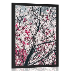 Plakat cvetovi breskve - 40x60 no frame