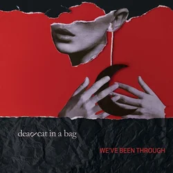 Dead Cat In A Bag - Weve Been Through (Limited Edition) (LP)