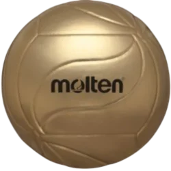 V5M9500 Volleyball