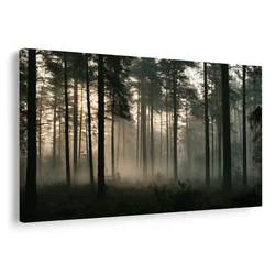 Slika meglen borov gozd ob svitanju - 30x20