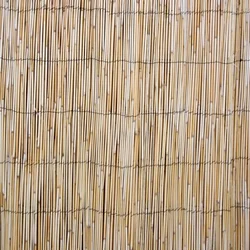 Homestar Trstična ograja 1,5x5 m