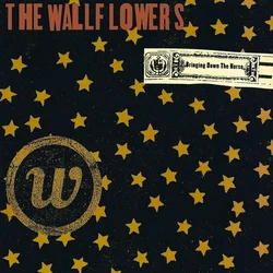 The Wallflowers - Bringing Down The Horse (Reissue) (Anniversary Edition) (2 LP)