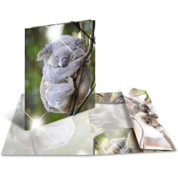 Herma mapa Koala, A4, PP, sijoča