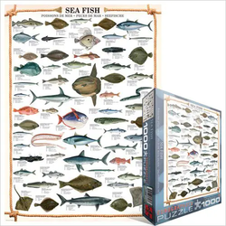 Eurographics - Puzzle Sea fish - 1 000 kosov