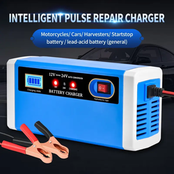Univerzalni Automatski Punjač za Akumulatore 12V i 24V sa Reparacijom