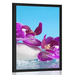 Plakat wellness tihožitje - 20x30 no frame