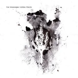 The Telescopes - Hidden Fields (LP + CD)