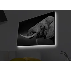 Opviq Slika na platnu sa LED osvetljenjem 45x70cm
