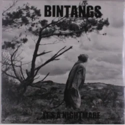 Bintangs - Its A Nightmare (180 g) (LP)